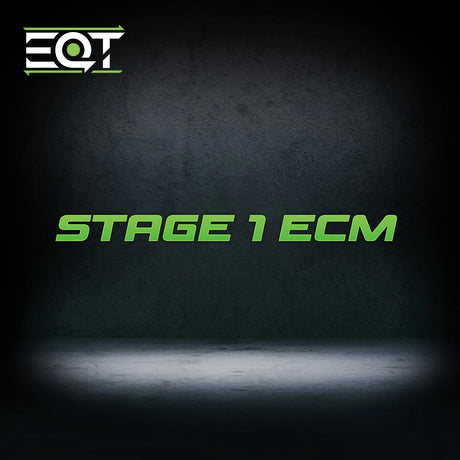 EQT Staged ECU Flex Fuel Tune - VW MQB GTI 2.0T (Mk7)